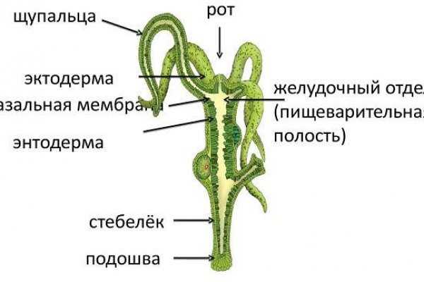 Сайт kraken darknet